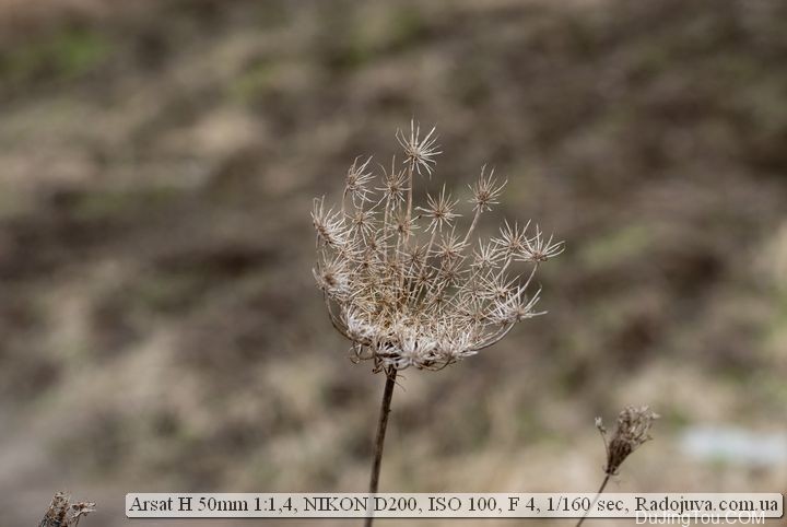 arsat 50mm 1.4